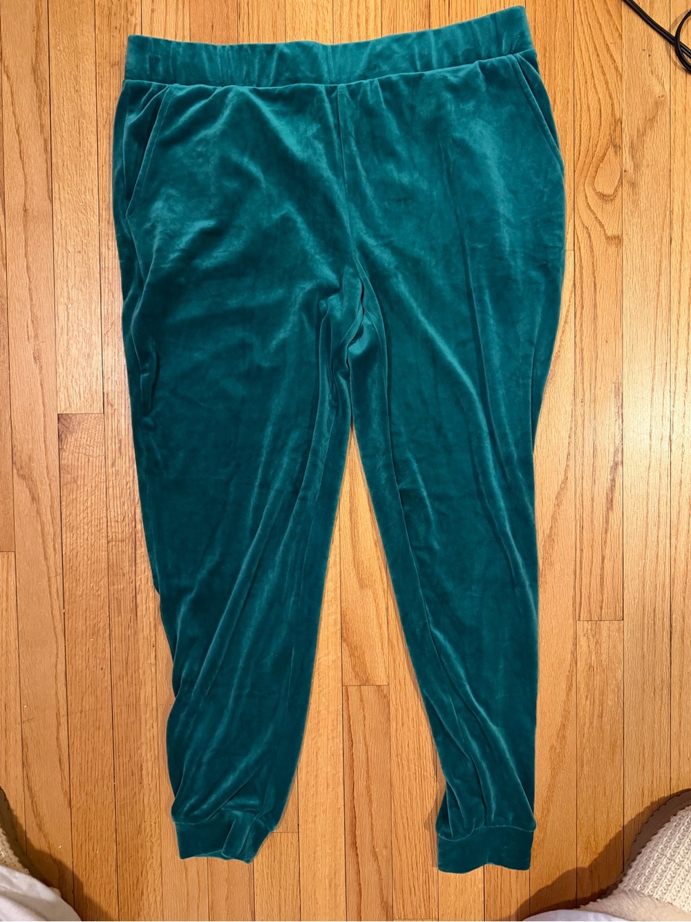Time and Tru GREEN Velour Joggers - Deep Teal